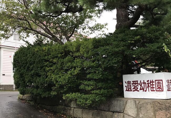 遺愛幼稚園 クチコミ アクセス 営業時間 函館 フォートラベル