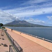 海と桜島を眺望、運が良ければイルカも