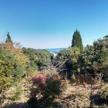 和みの鐘からの眺めです。