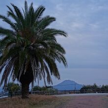 展望台からの桜島