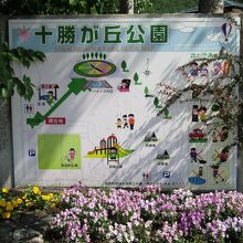 十勝が丘公園の案内図