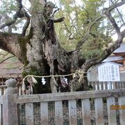 大三島の古い神社