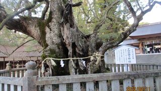 大三島の古い神社