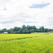 「巣山古墳」は特別史跡です