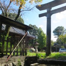 岡神社の参道から見る本殿