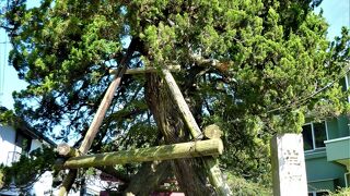 荏柄天神社;法華堂跡-鎌倉宮に小道の途中に