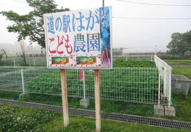 中規模の道の駅です