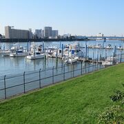 江戸川　風景　旧江戸川 960px-Kyu-