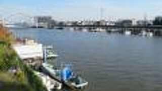 モーターボートがたくさん係留されていました