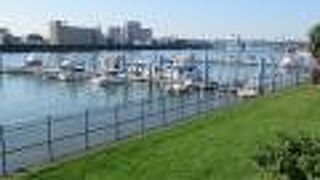 釣り船やモーターボートが係留されていました