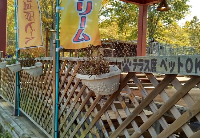 浅間牧場茶屋 レストラン