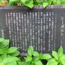 シーボルト像の説明板