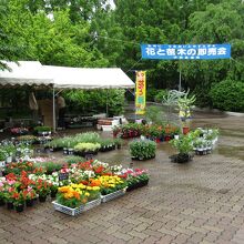 イベントの雰囲気