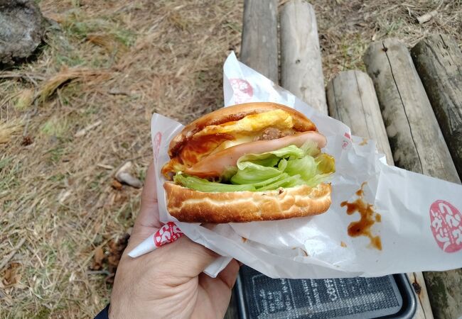 「全国！激うまご当地バーガーランキング」4位の美味しいご当地Ｂ級グルメ