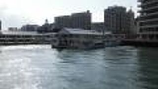 桟橋近くは潮の流れもありません