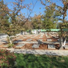 春になると桜の花がさき死没者を慰める。