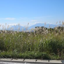 草原のかなたに阿蘇五岳が望めます。