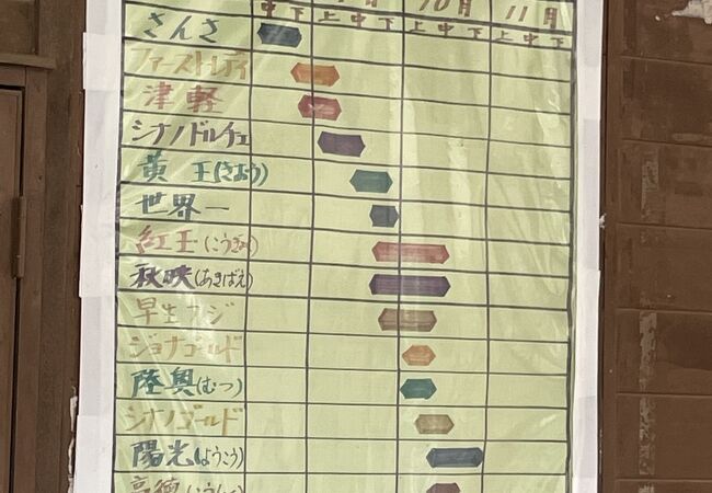 平日でも賑わうりんご園