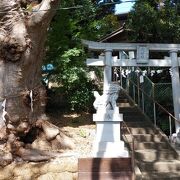 崖線に立地する静かな神社