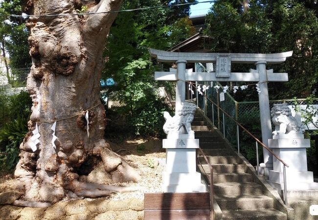 崖線に立地する静かな神社