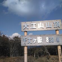大江山主峰です