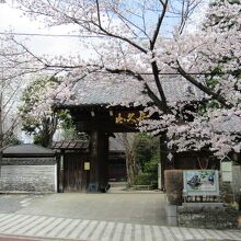 桜がきれいな山門