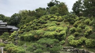 素晴らしい庭園と長谷川等伯一門の障壁画