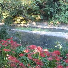 園内から高麗川も