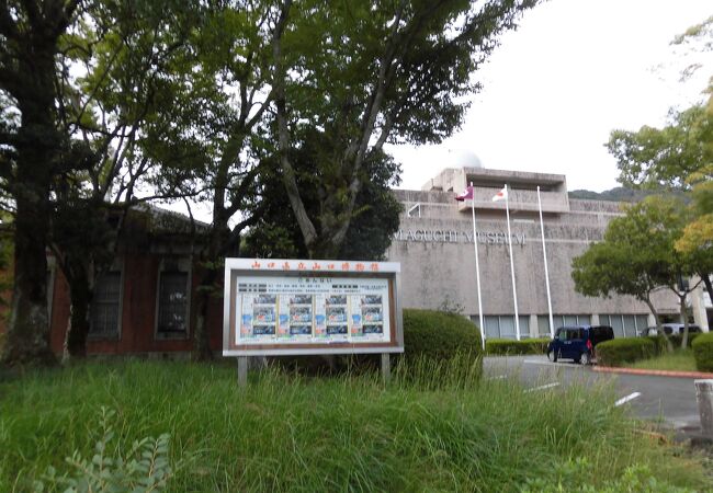山口県立山口博物館企画展 やまぐち植物さんぽ【その2