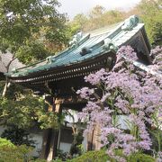 扇ガ谷を代表する花の寺