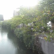 秋の大岡川