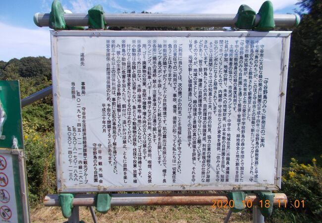 野鳥のさえずりが聞こえる