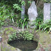 海蔵寺門の横できれいな水が湧いています