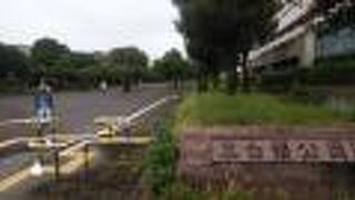 災害時の避難も想定された都市公園