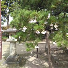 おみくじがたくさんつられていました。