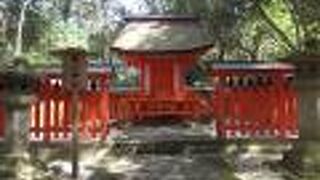 宇佐神宮上宮のある山は亀山ともいうようで、その名前を冠した神社。