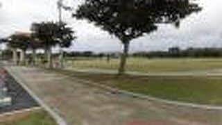 390号線沿いの広い公園