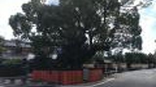 明神川の守護神「藤木社」