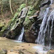 滝の前の苔達まで綺麗に見える