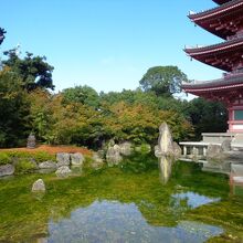 池と庭園