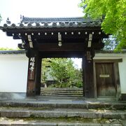 雨上がりの苔むした庭がとてもいい感じ