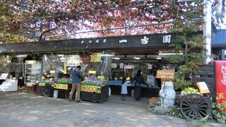 試食がすごい