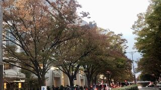 コロナ禍の表参道