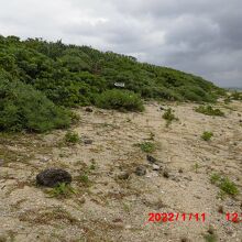 海岸沿いを歩く