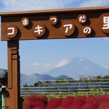 「コキアの里」の門を額縁に富士山を借景にして
