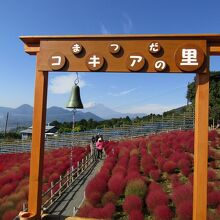 「コキアの鐘」の枠を額縁に富士山を借景にして