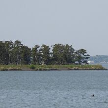 霞ケ浦と和田公園の遠景