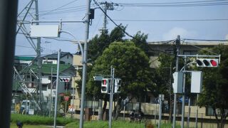 園内に信号が４か所も