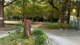 都心の広い公園