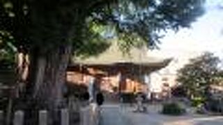 国の天然記念物